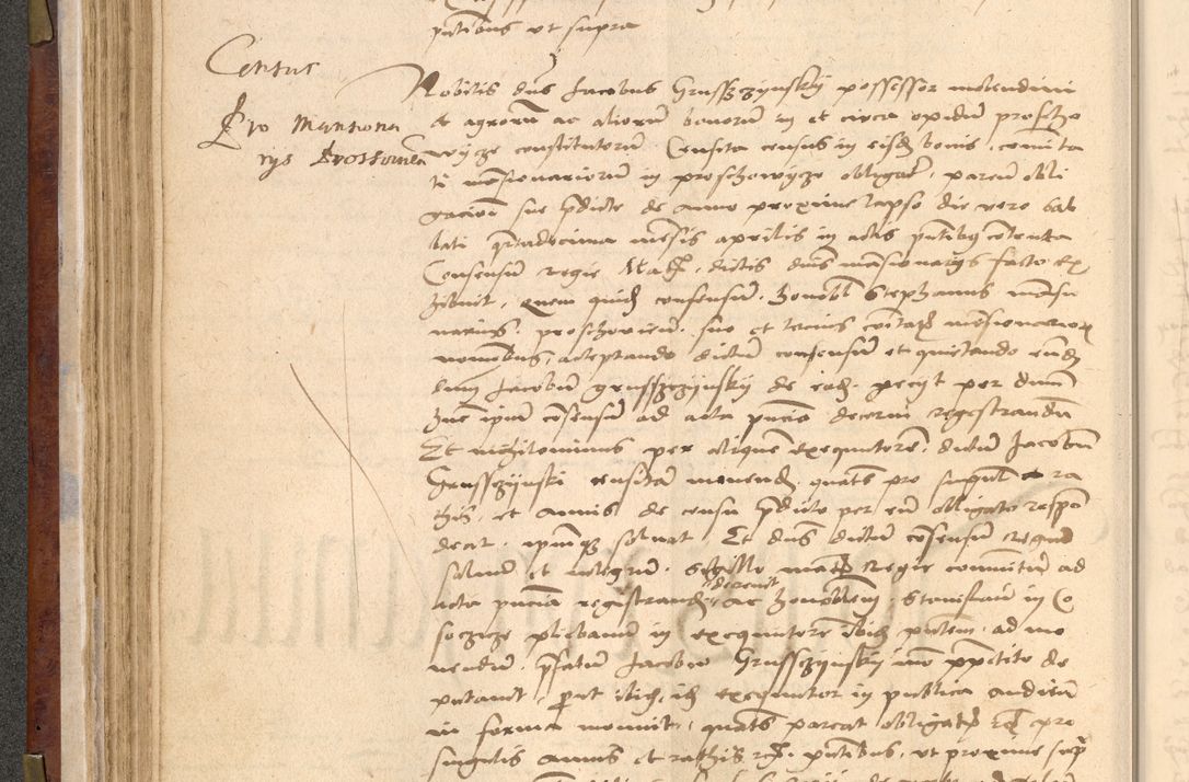 Zdjęcie nr 141 dla obiektu archiwalnego: [Acta actorum vicarialia coram Nicolao Bedlenski]