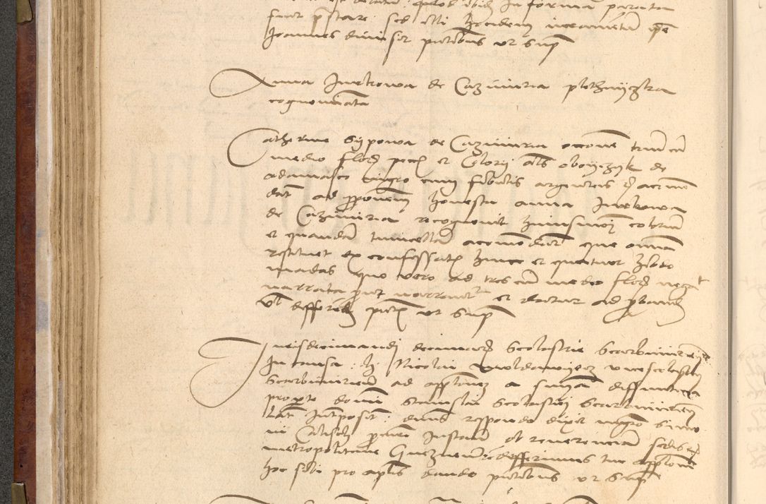 Zdjęcie nr 133 dla obiektu archiwalnego: [Acta actorum vicarialia coram Nicolao Bedlenski]