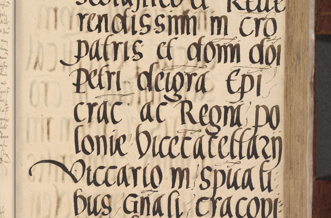 Zdjęcie nr 118 dla obiektu archiwalnego: [Acta actorum vicarialia coram Nicolao Bedlenski]