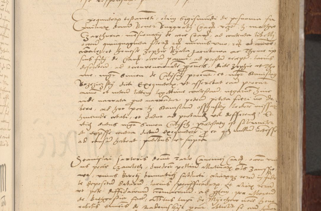 Zdjęcie nr 102 dla obiektu archiwalnego: [Acta actorum vicarialia coram Nicolao Bedlenski]