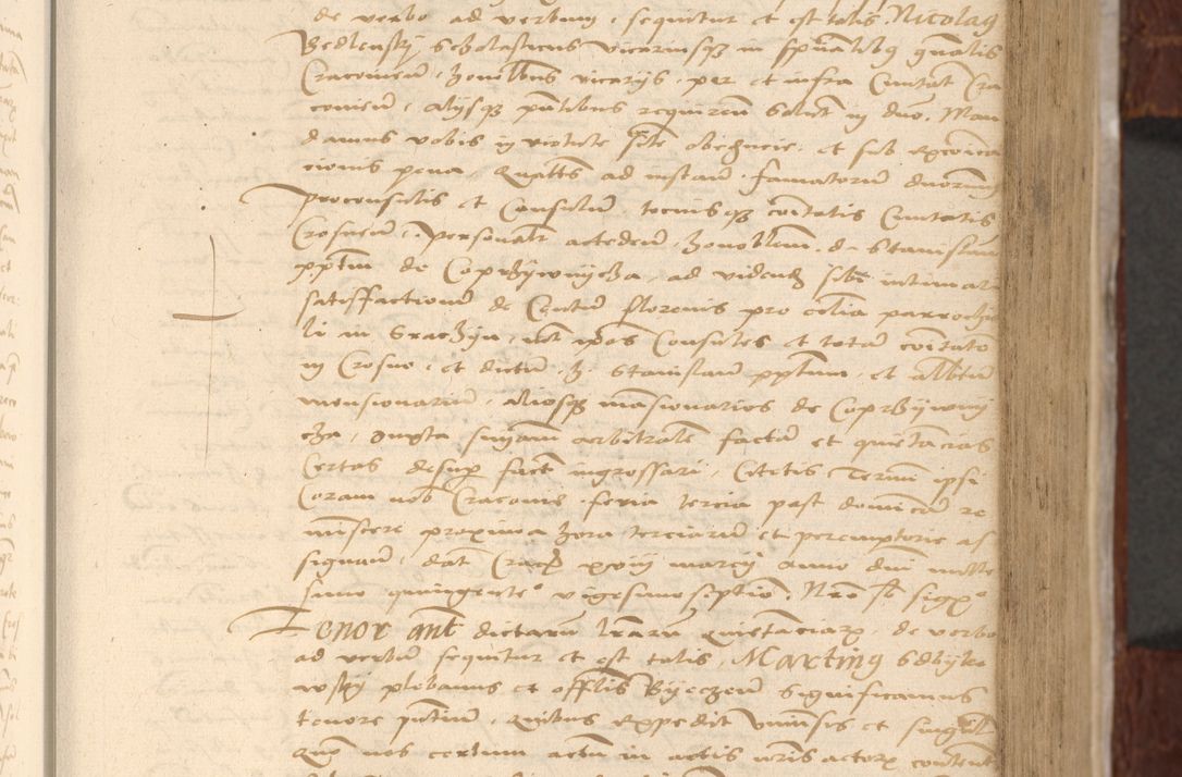 Zdjęcie nr 258 dla obiektu archiwalnego: [Acta actorum vicarialia coram Nicolao Bedlenski]