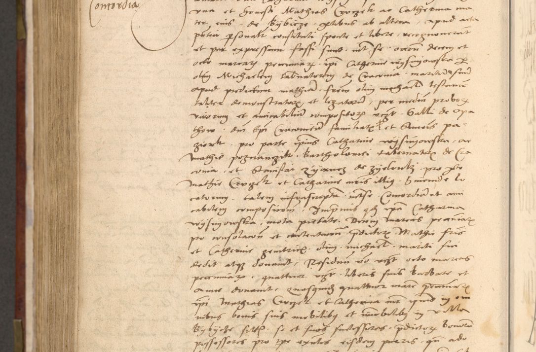 Zdjęcie nr 1123 dla obiektu archiwalnego: [Acta actorum vicarialia coram Nicolao Bedlenski]