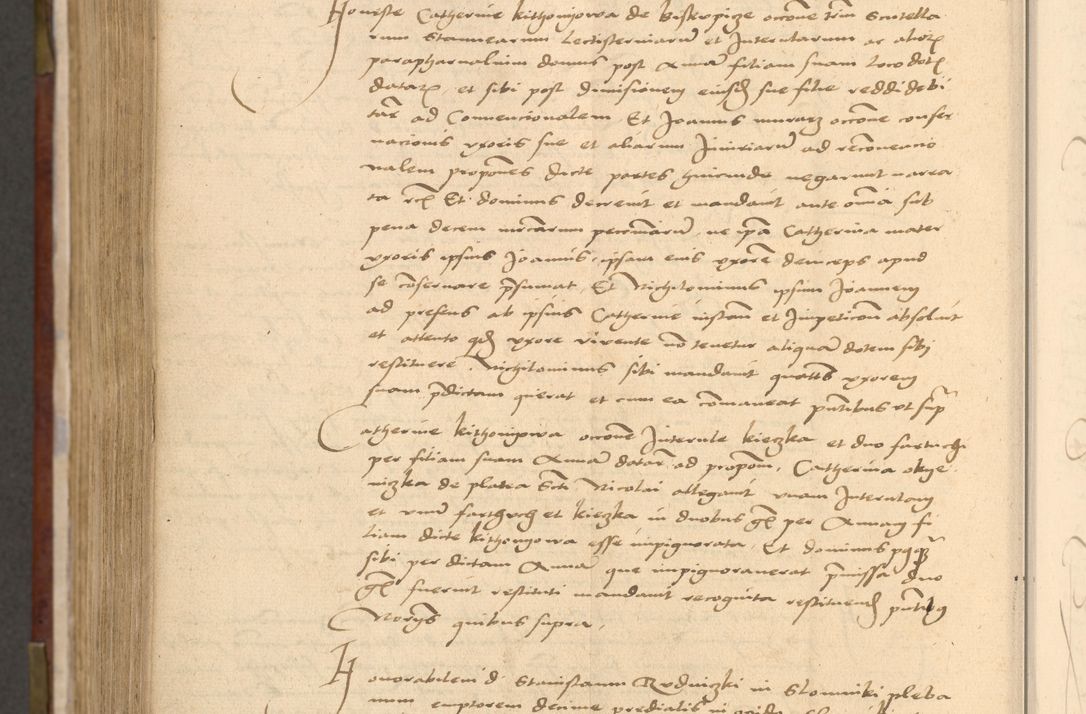 Zdjęcie nr 1101 dla obiektu archiwalnego: [Acta actorum vicarialia coram Nicolao Bedlenski]