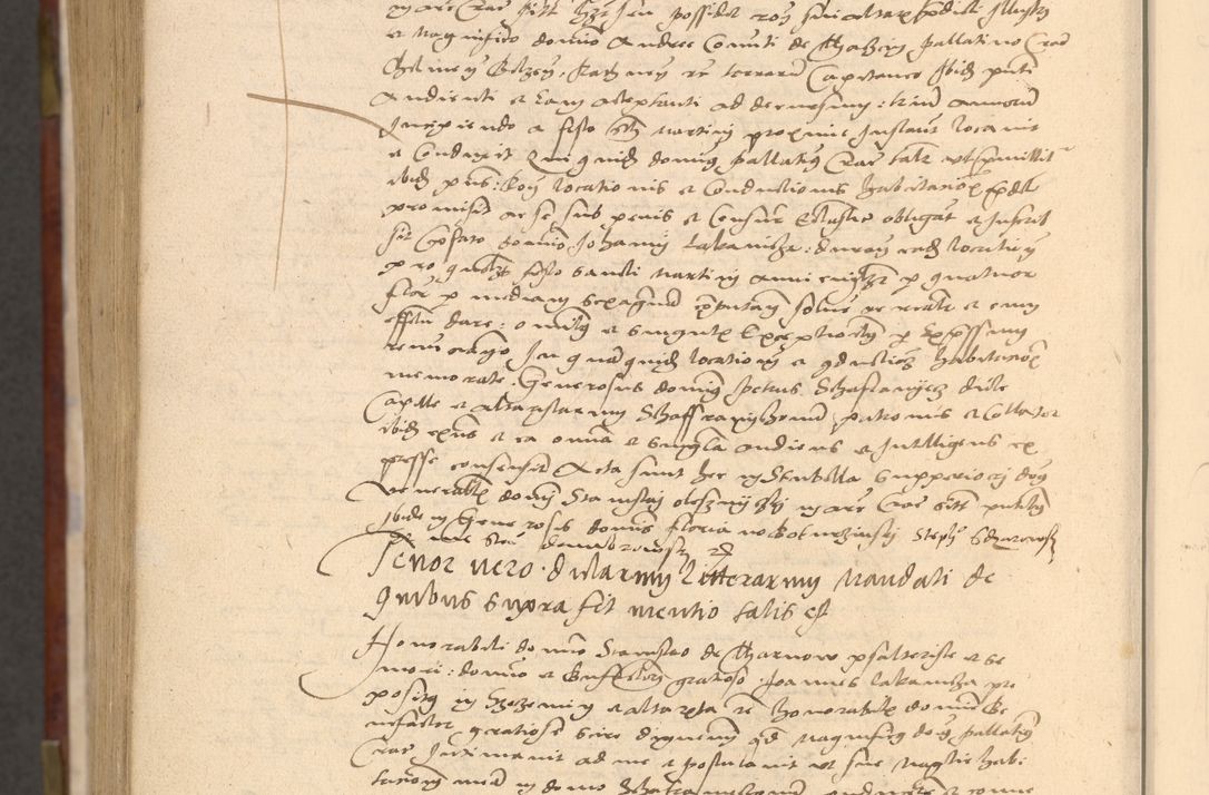 Zdjęcie nr 1493 dla obiektu archiwalnego: [Acta actorum vicarialia coram Nicolao Bedlenski]