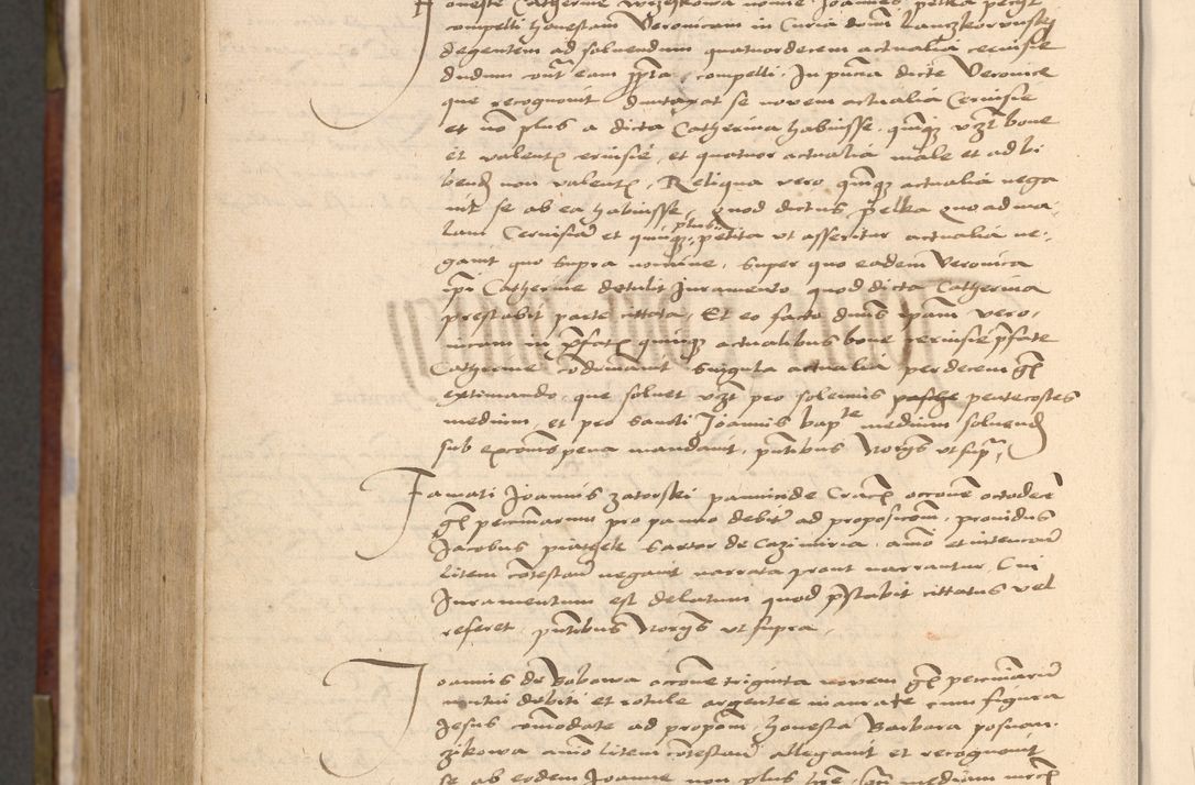 Zdjęcie nr 1263 dla obiektu archiwalnego: [Acta actorum vicarialia coram Nicolao Bedlenski]