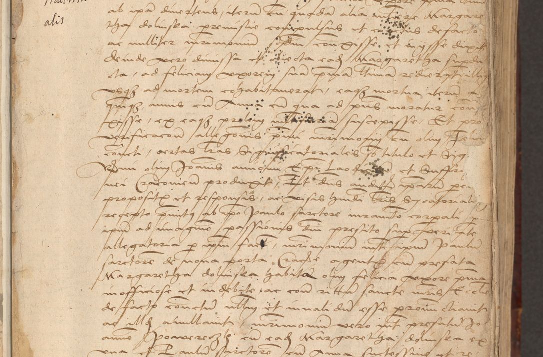 Zdjęcie nr 17 dla obiektu archiwalnego: [Acta actorum vicarialia coram Nicolao Bedlenski]