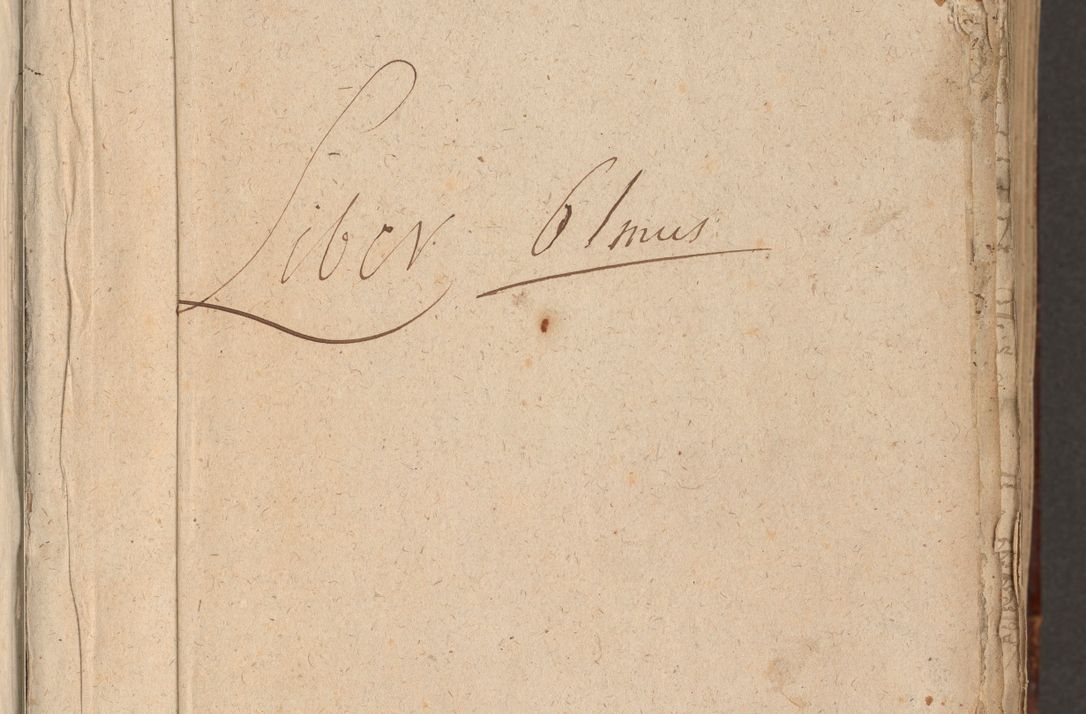 Zdjęcie nr 7 dla obiektu archiwalnego: [Acta actorum vicarialia coram Nicolao Bedlenski]