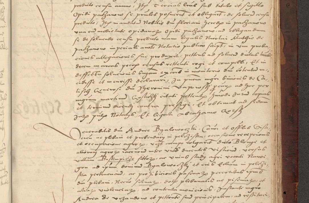 Zdjęcie nr 1263 dla obiektu archiwalnego: [Acta actorum vicarialia coram Nicolao Bedlenski]