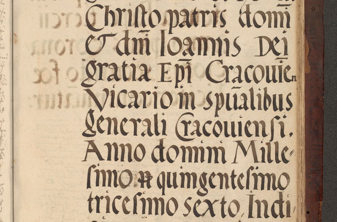 Zdjęcie nr 1169 dla obiektu archiwalnego: [Acta actorum vicarialia coram Nicolao Bedlenski]