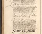 Zdjęcie nr 896 dla obiektu archiwalnego: [Acta actorum vicarialia coram Nicolao Bedlenski]