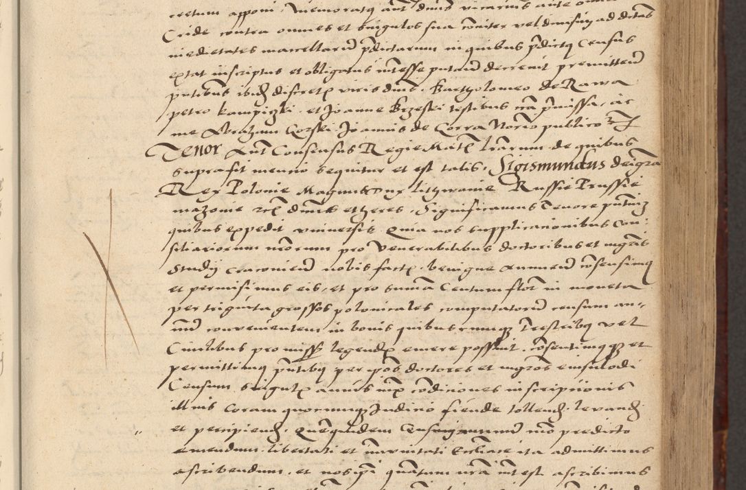 Zdjęcie nr 343 dla obiektu archiwalnego: [Acta actorum vicarialia coram Nicolao Bedlenski]