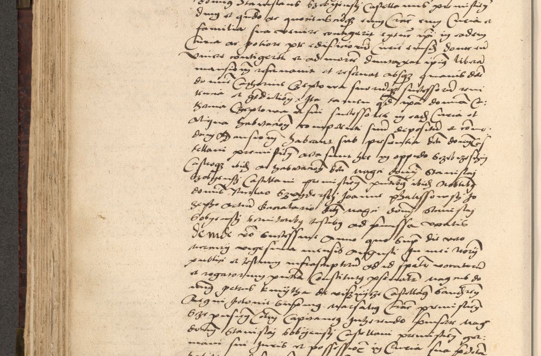 Zdjęcie nr 336 dla obiektu archiwalnego: [Acta actorum vicarialia coram Nicolao Bedlenski]