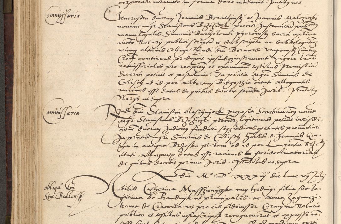 Zdjęcie nr 254 dla obiektu archiwalnego: [Acta actorum vicarialia coram Nicolao Bedlenski]