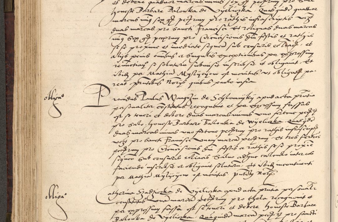 Zdjęcie nr 246 dla obiektu archiwalnego: [Acta actorum vicarialia coram Nicolao Bedlenski]