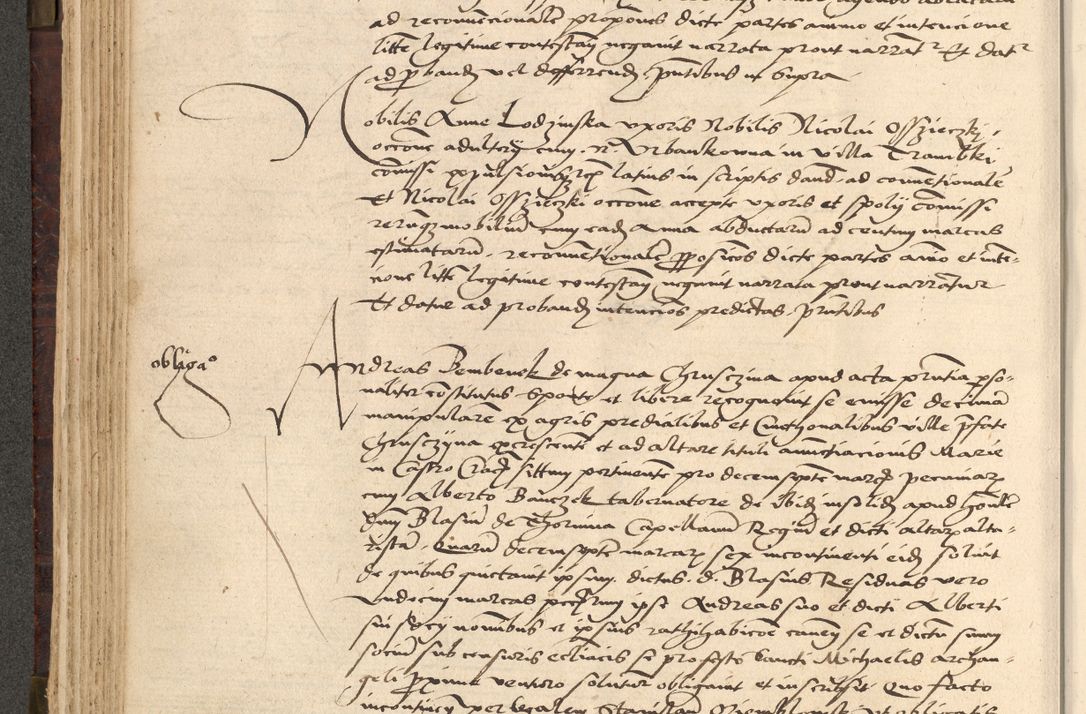 Zdjęcie nr 204 dla obiektu archiwalnego: [Acta actorum vicarialia coram Nicolao Bedlenski]