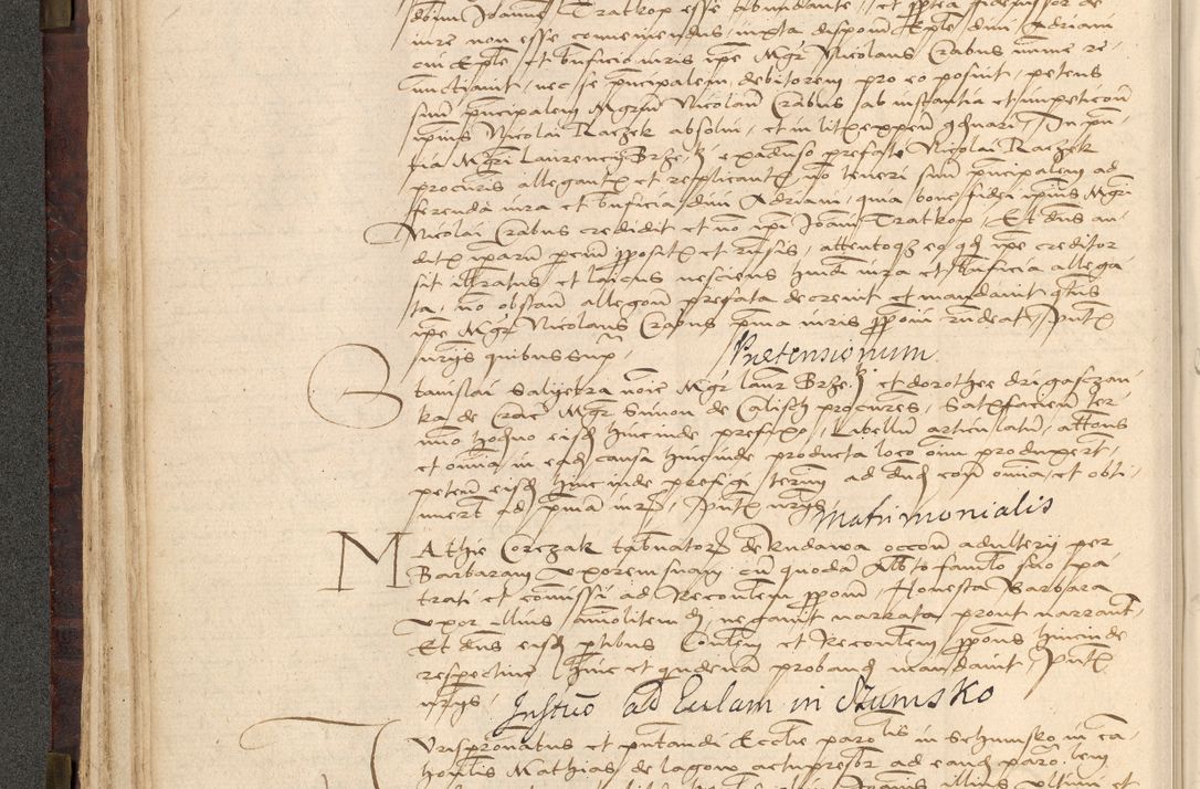 Zdjęcie nr 102 dla obiektu archiwalnego: [Acta actorum vicarialia coram Nicolao Bedlenski]