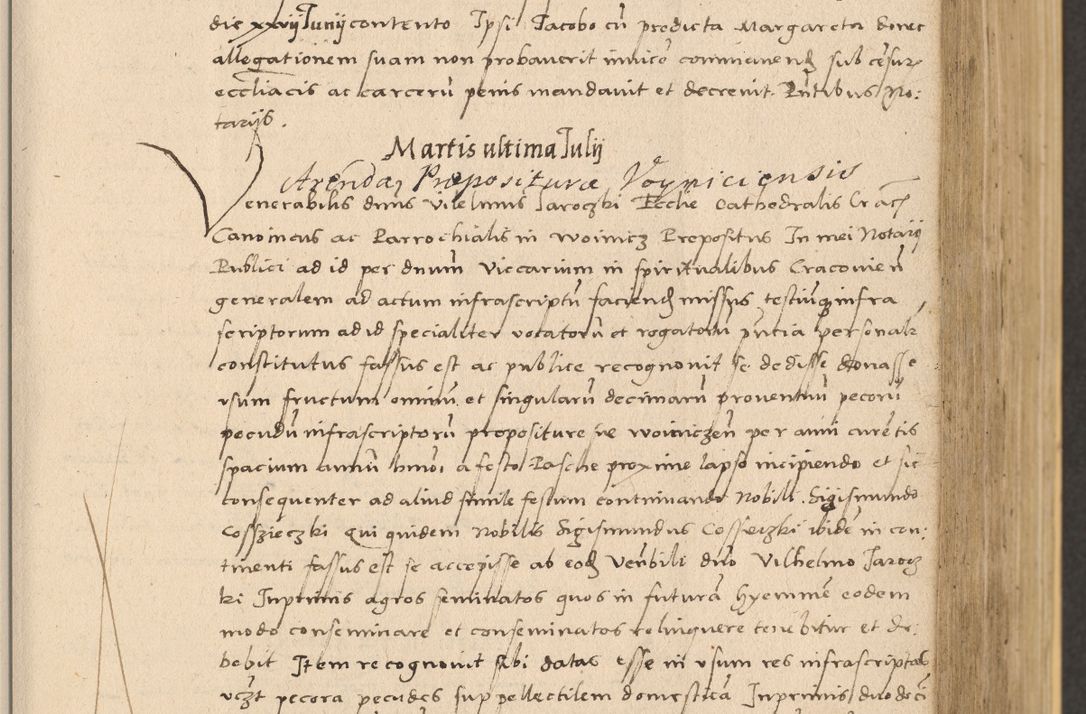 Zdjęcie nr 207 dla obiektu archiwalnego: Acta actorum coram reverendo patre domino Nicolao Bedlenski scholastico vicarioque in spiritualibus gernerali Cracoviensi ad annum Domini millesimum quingentesimum tricesimum septimum, cuius indicio est decima, pontificatus sanctissimi in Christo patris et domini nostri domini Pauli divina providencia papr tercii, anno tercio, feliciter continuantur