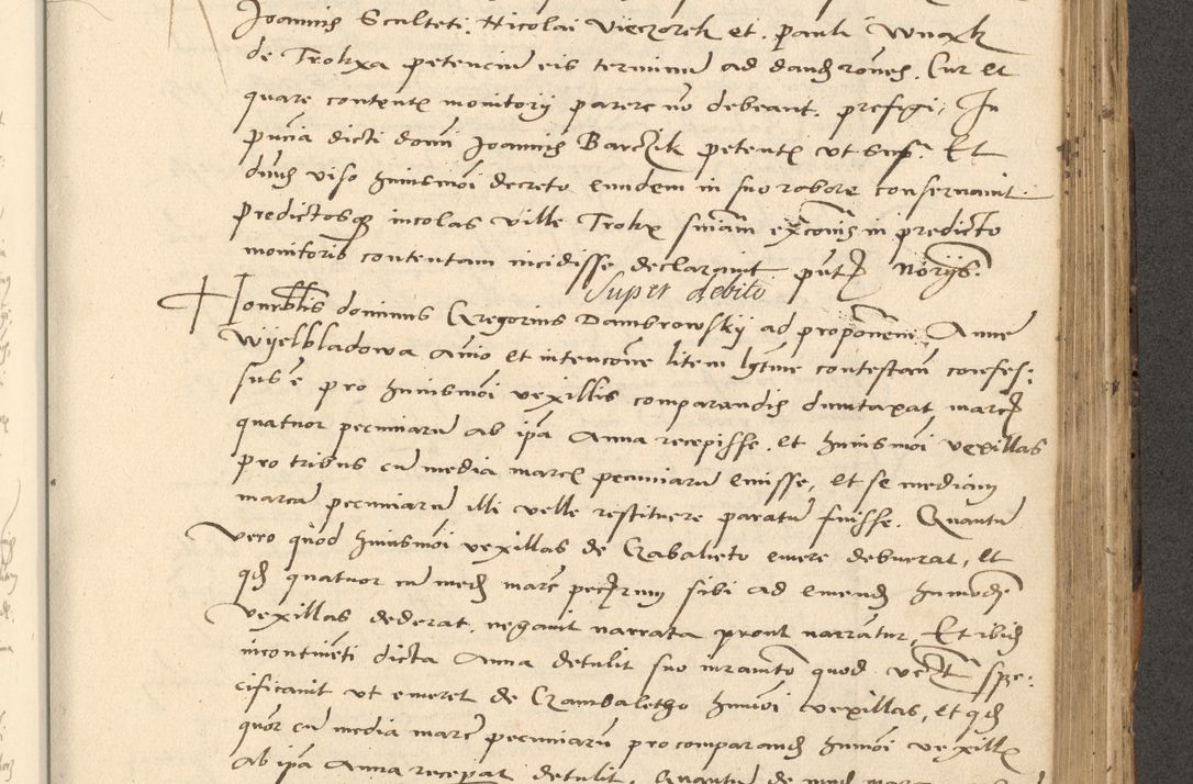 Zdjęcie nr 227 dla obiektu archiwalnego: Acta actorum causarum, sentenciarum et obligationum coram reverendo patre domino Paulo Crassowsky Varschoviensi et Omnium Sanctorum preposito, canonico vicarioque in spiritualibus ex commissione reverendissimi in Christo patris et domini domini Petri Dei gratia episcopi Cracoviensis ac officiali generali Cracoviensi ad annum Domini 1540, cuius indictio est 13, pontificatus sanctissimi in Christo patris et domini nostri domini Pauli divina providencia pape tercii anno sexto a die ac mense infrascriptis feliciter continuantur