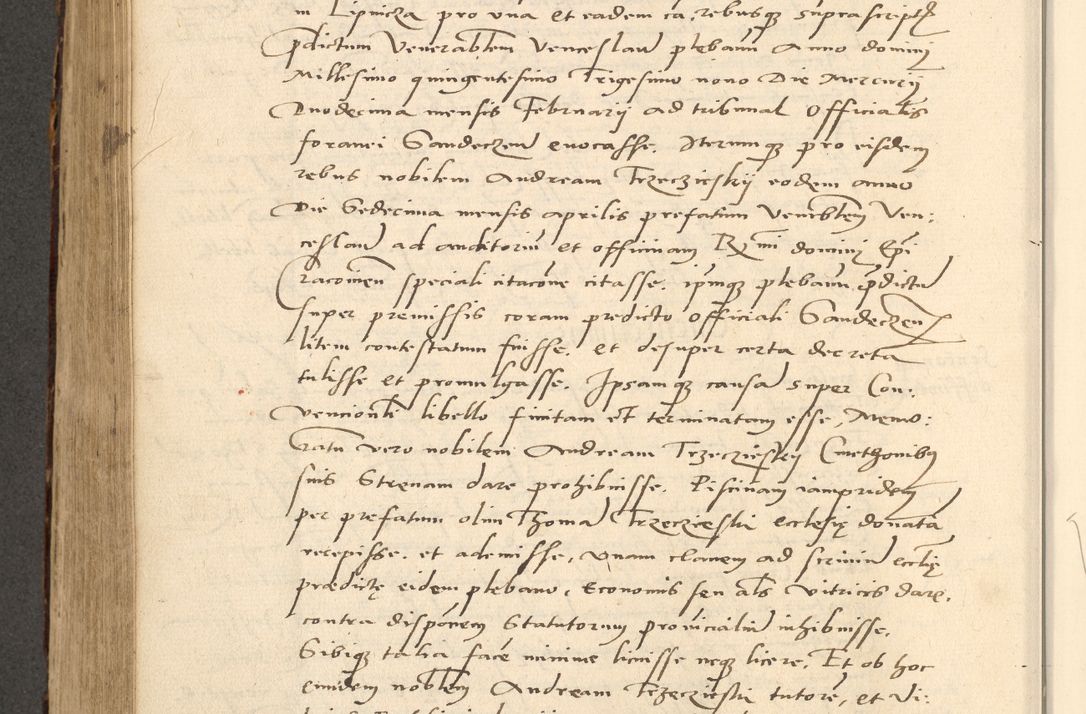 Zdjęcie nr 232 dla obiektu archiwalnego: Acta actorum causarum, sentenciarum et obligationum coram reverendo patre domino Paulo Crassowsky Varschoviensi et Omnium Sanctorum preposito, canonico vicarioque in spiritualibus ex commissione reverendissimi in Christo patris et domini domini Petri Dei gratia episcopi Cracoviensis ac officiali generali Cracoviensi ad annum Domini 1540, cuius indictio est 13, pontificatus sanctissimi in Christo patris et domini nostri domini Pauli divina providencia pape tercii anno sexto a die ac mense infrascriptis feliciter continuantur