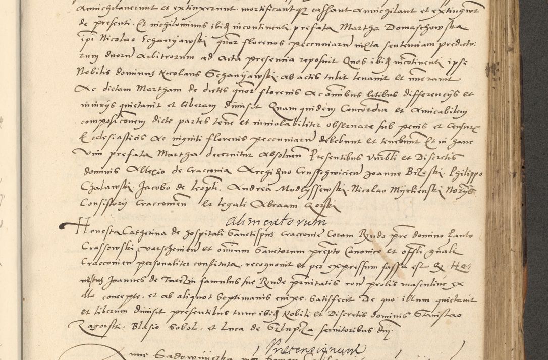 Zdjęcie nr 254 dla obiektu archiwalnego: Acta actorum causarum, sentenciarum et obligationum coram reverendo patre domino Paulo Crassowsky Varschoviensi et Omnium Sanctorum preposito, canonico vicarioque in spiritualibus ex commissione reverendissimi in Christo patris et domini domini Petri Dei gratia episcopi Cracoviensis ac officiali generali Cracoviensi ad annum Domini 1540, cuius indictio est 13, pontificatus sanctissimi in Christo patris et domini nostri domini Pauli divina providencia pape tercii anno sexto a die ac mense infrascriptis feliciter continuantur