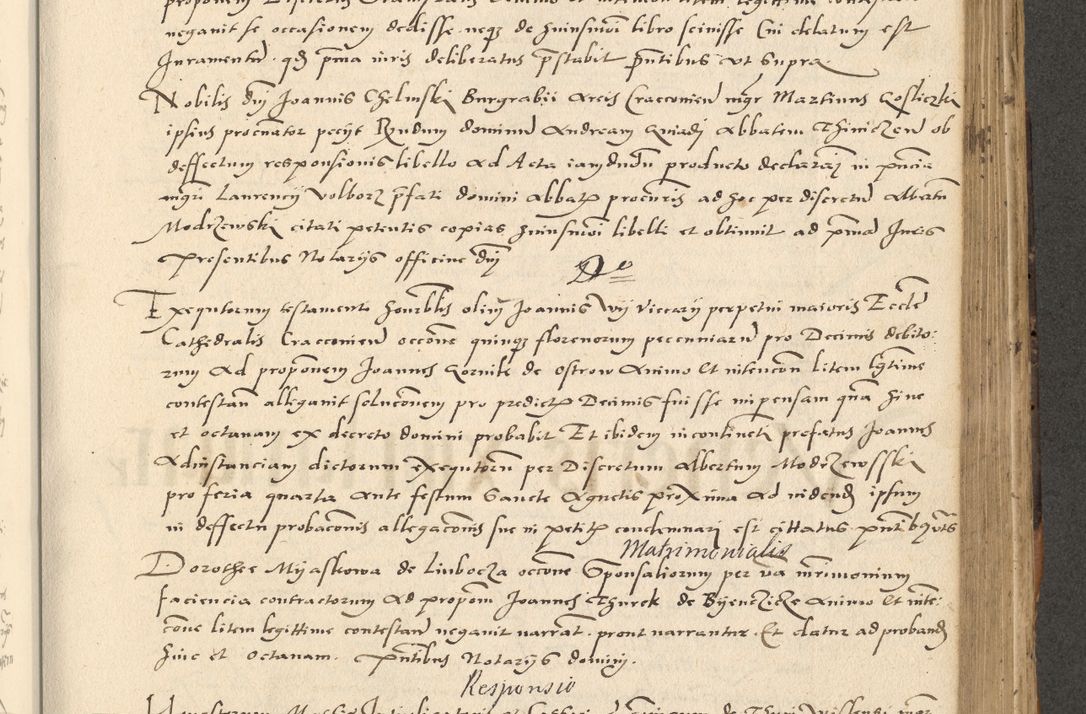 Zdjęcie nr 298 dla obiektu archiwalnego: Acta actorum causarum, sentenciarum et obligationum coram reverendo patre domino Paulo Crassowsky Varschoviensi et Omnium Sanctorum preposito, canonico vicarioque in spiritualibus ex commissione reverendissimi in Christo patris et domini domini Petri Dei gratia episcopi Cracoviensis ac officiali generali Cracoviensi ad annum Domini 1540, cuius indictio est 13, pontificatus sanctissimi in Christo patris et domini nostri domini Pauli divina providencia pape tercii anno sexto a die ac mense infrascriptis feliciter continuantur