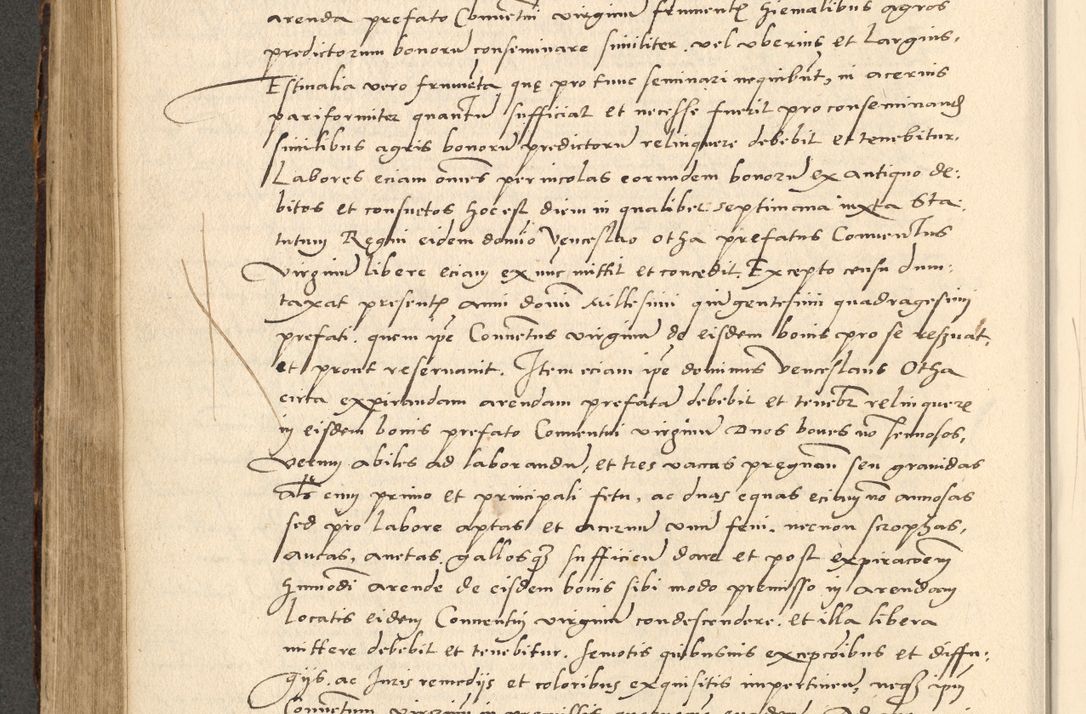 Zdjęcie nr 339 dla obiektu archiwalnego: Acta actorum causarum, sentenciarum et obligationum coram reverendo patre domino Paulo Crassowsky Varschoviensi et Omnium Sanctorum preposito, canonico vicarioque in spiritualibus ex commissione reverendissimi in Christo patris et domini domini Petri Dei gratia episcopi Cracoviensis ac officiali generali Cracoviensi ad annum Domini 1540, cuius indictio est 13, pontificatus sanctissimi in Christo patris et domini nostri domini Pauli divina providencia pape tercii anno sexto a die ac mense infrascriptis feliciter continuantur
