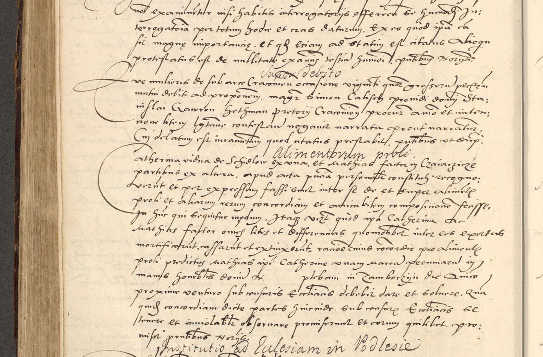 Zdjęcie nr 354 dla obiektu archiwalnego: Acta actorum causarum, sentenciarum et obligationum coram reverendo patre domino Paulo Crassowsky Varschoviensi et Omnium Sanctorum preposito, canonico vicarioque in spiritualibus ex commissione reverendissimi in Christo patris et domini domini Petri Dei gratia episcopi Cracoviensis ac officiali generali Cracoviensi ad annum Domini 1540, cuius indictio est 13, pontificatus sanctissimi in Christo patris et domini nostri domini Pauli divina providencia pape tercii anno sexto a die ac mense infrascriptis feliciter continuantur
