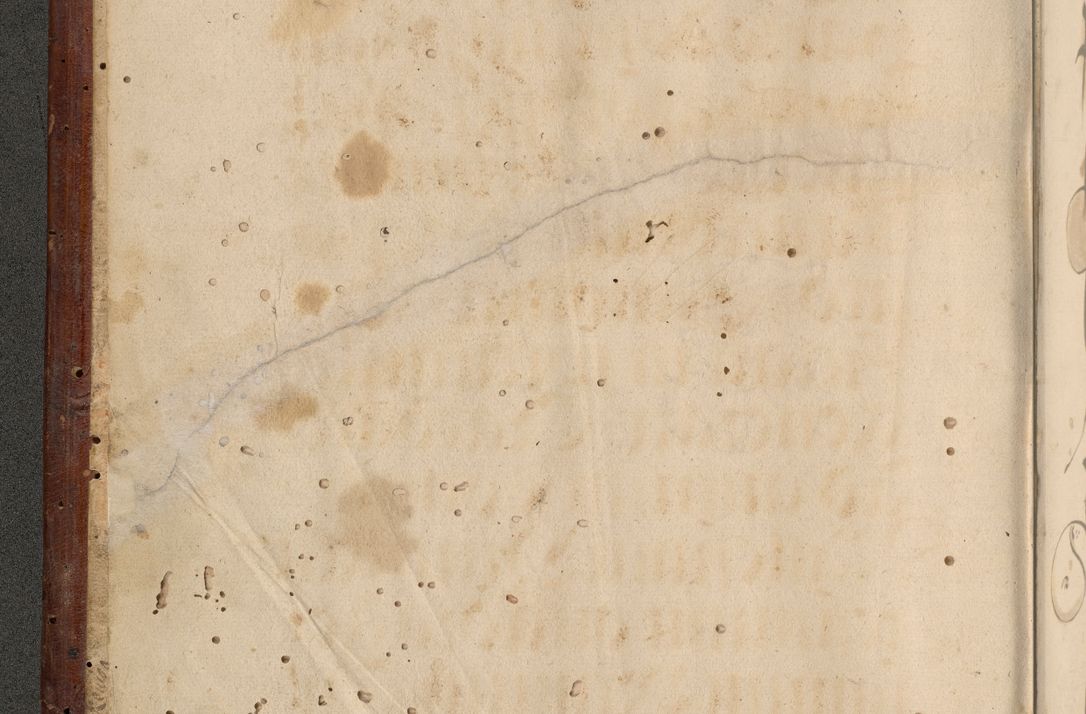 Zdjęcie nr 5 dla obiektu archiwalnego: Acta actorum causarum, sentenciarum et obligationum coram reverendo patre domino Paulo Crassowski Warscheviensi et Omnium Sanctorum preposito, canonico et officiali in spiritualibus generali Cracoviensi ad annum Domini millesimum quingentesimum quadragesimum primum, cuius indicio est quatuor decima, pontificatu (sic!) sanctissimi in Christo patris et domini nostri domini Pauli divina providencia pape tercii,, anno septimo, a die ac mense infrascriptis feliciter continuantur