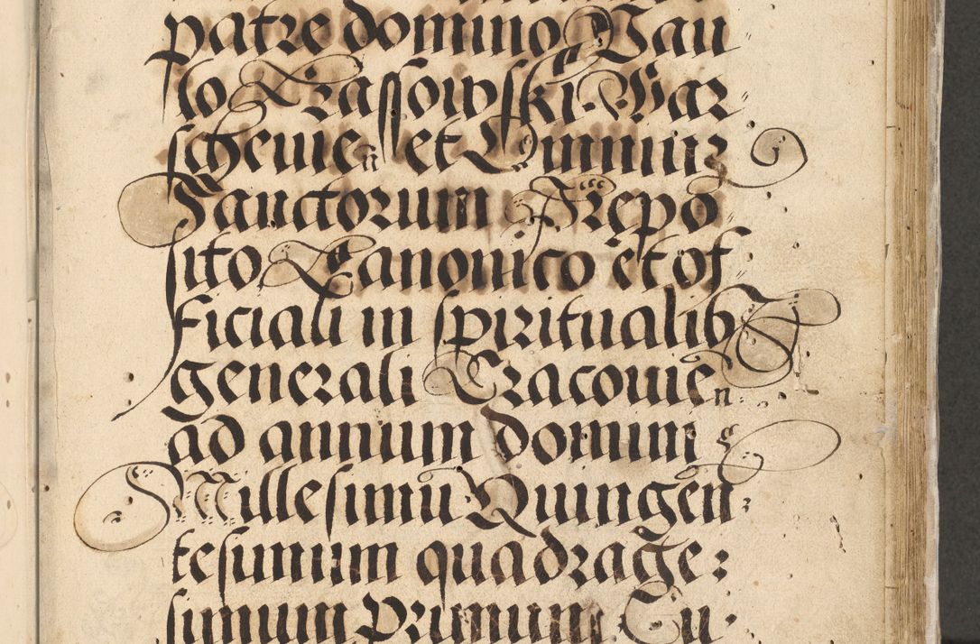 Zdjęcie nr 6 dla obiektu archiwalnego: Acta actorum causarum, sentenciarum et obligationum coram reverendo patre domino Paulo Crassowski Warscheviensi et Omnium Sanctorum preposito, canonico et officiali in spiritualibus generali Cracoviensi ad annum Domini millesimum quingentesimum quadragesimum primum, cuius indicio est quatuor decima, pontificatu (sic!) sanctissimi in Christo patris et domini nostri domini Pauli divina providencia pape tercii,, anno septimo, a die ac mense infrascriptis feliciter continuantur