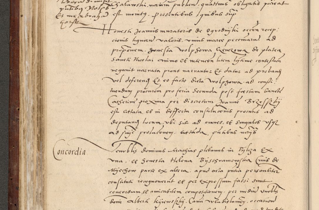 Zdjęcie nr 205 dla obiektu archiwalnego: Acta actorum causarum, sentenciarum et obligationum coram reverendo patre domino Paulo Crassowski Warscheviensi et Omnium Sanctorum preposito, canonico et officiali in spiritualibus generali Cracoviensi ad annum Domini millesimum quingentesimum quadragesimum primum, cuius indicio est quatuor decima, pontificatu (sic!) sanctissimi in Christo patris et domini nostri domini Pauli divina providencia pape tercii,, anno septimo, a die ac mense infrascriptis feliciter continuantur