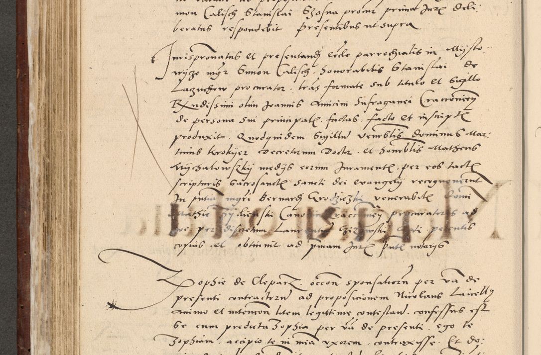 Zdjęcie nr 343 dla obiektu archiwalnego: Acta actorum causarum, sentenciarum et obligationum coram reverendo patre domino Paulo Crassowski Warscheviensi et Omnium Sanctorum preposito, canonico et officiali in spiritualibus generali Cracoviensi ad annum Domini millesimum quingentesimum quadragesimum primum, cuius indicio est quatuor decima, pontificatu (sic!) sanctissimi in Christo patris et domini nostri domini Pauli divina providencia pape tercii,, anno septimo, a die ac mense infrascriptis feliciter continuantur