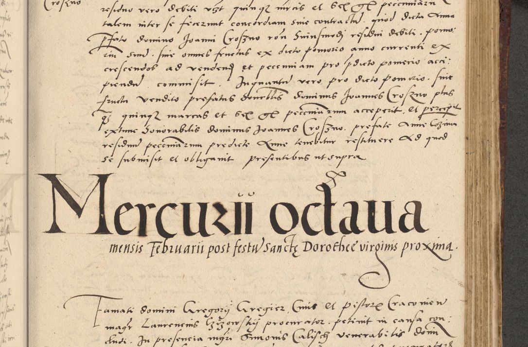 Zdjęcie nr 342 dla obiektu archiwalnego: Acta actorum causarum, sentenciarum et obligationum coram reverendo patre domino Paulo Crassowski Warscheviensi et Omnium Sanctorum preposito, canonico et officiali in spiritualibus generali Cracoviensi ad annum Domini millesimum quingentesimum quadragesimum primum, cuius indicio est quatuor decima, pontificatu (sic!) sanctissimi in Christo patris et domini nostri domini Pauli divina providencia pape tercii,, anno septimo, a die ac mense infrascriptis feliciter continuantur