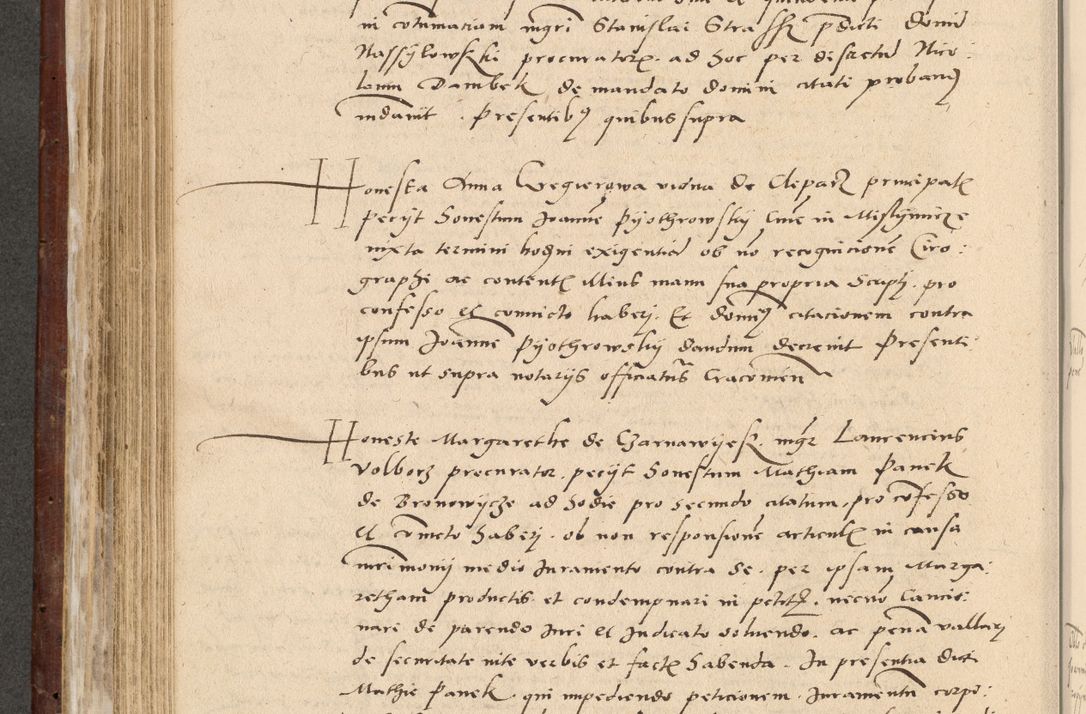 Zdjęcie nr 329 dla obiektu archiwalnego: Acta actorum causarum, sentenciarum et obligationum coram reverendo patre domino Paulo Crassowski Warscheviensi et Omnium Sanctorum preposito, canonico et officiali in spiritualibus generali Cracoviensi ad annum Domini millesimum quingentesimum quadragesimum primum, cuius indicio est quatuor decima, pontificatu (sic!) sanctissimi in Christo patris et domini nostri domini Pauli divina providencia pape tercii,, anno septimo, a die ac mense infrascriptis feliciter continuantur