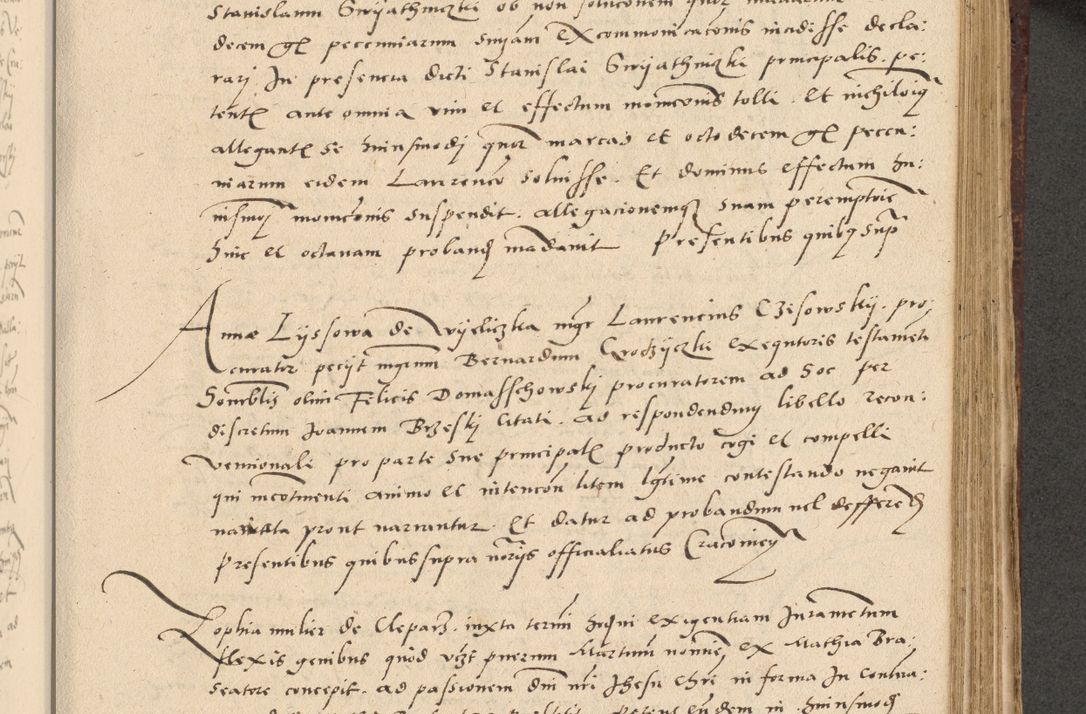 Zdjęcie nr 298 dla obiektu archiwalnego: Acta actorum causarum, sentenciarum et obligationum coram reverendo patre domino Paulo Crassowski Warscheviensi et Omnium Sanctorum preposito, canonico et officiali in spiritualibus generali Cracoviensi ad annum Domini millesimum quingentesimum quadragesimum primum, cuius indicio est quatuor decima, pontificatu (sic!) sanctissimi in Christo patris et domini nostri domini Pauli divina providencia pape tercii,, anno septimo, a die ac mense infrascriptis feliciter continuantur