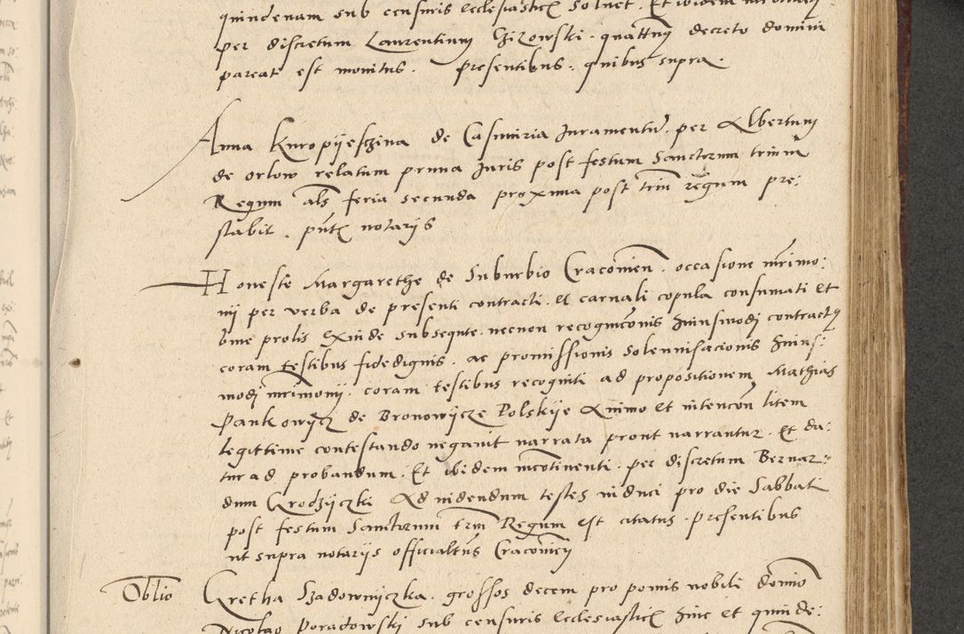 Zdjęcie nr 262 dla obiektu archiwalnego: Acta actorum causarum, sentenciarum et obligationum coram reverendo patre domino Paulo Crassowski Warscheviensi et Omnium Sanctorum preposito, canonico et officiali in spiritualibus generali Cracoviensi ad annum Domini millesimum quingentesimum quadragesimum primum, cuius indicio est quatuor decima, pontificatu (sic!) sanctissimi in Christo patris et domini nostri domini Pauli divina providencia pape tercii,, anno septimo, a die ac mense infrascriptis feliciter continuantur
