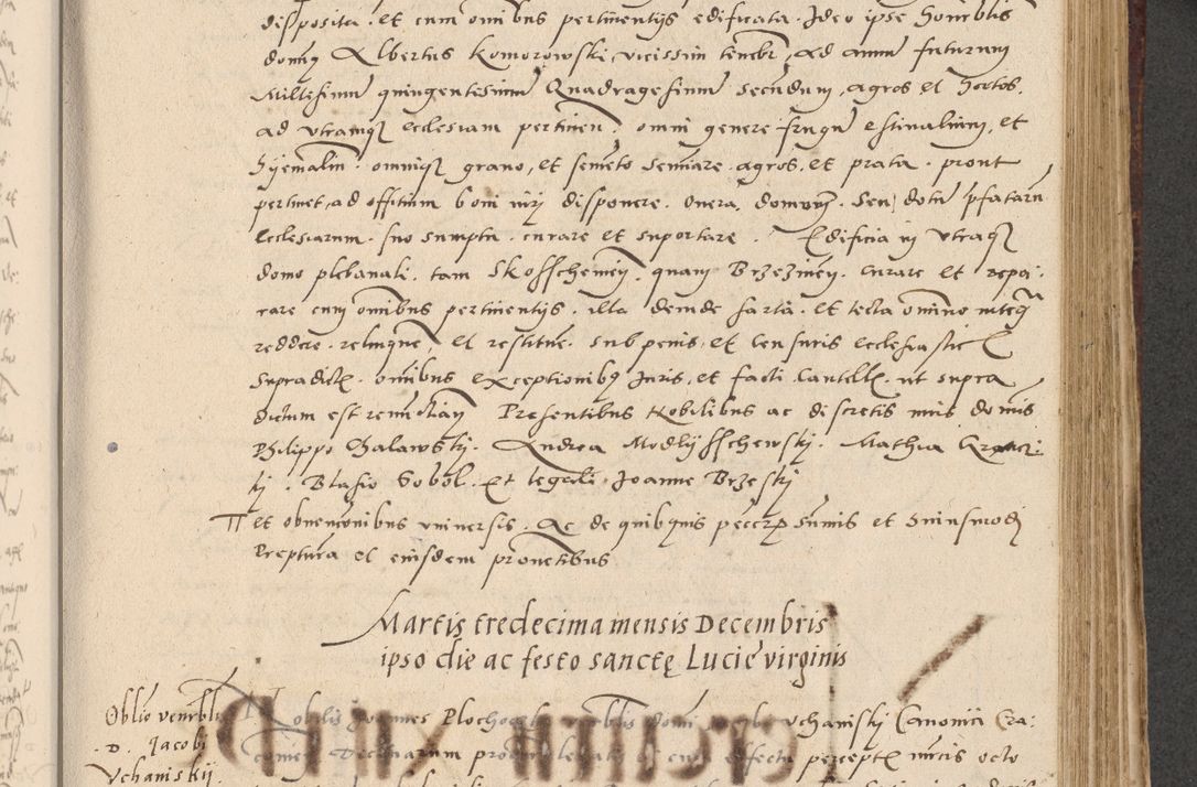 Zdjęcie nr 232 dla obiektu archiwalnego: Acta actorum causarum, sentenciarum et obligationum coram reverendo patre domino Paulo Crassowski Warscheviensi et Omnium Sanctorum preposito, canonico et officiali in spiritualibus generali Cracoviensi ad annum Domini millesimum quingentesimum quadragesimum primum, cuius indicio est quatuor decima, pontificatu (sic!) sanctissimi in Christo patris et domini nostri domini Pauli divina providencia pape tercii,, anno septimo, a die ac mense infrascriptis feliciter continuantur