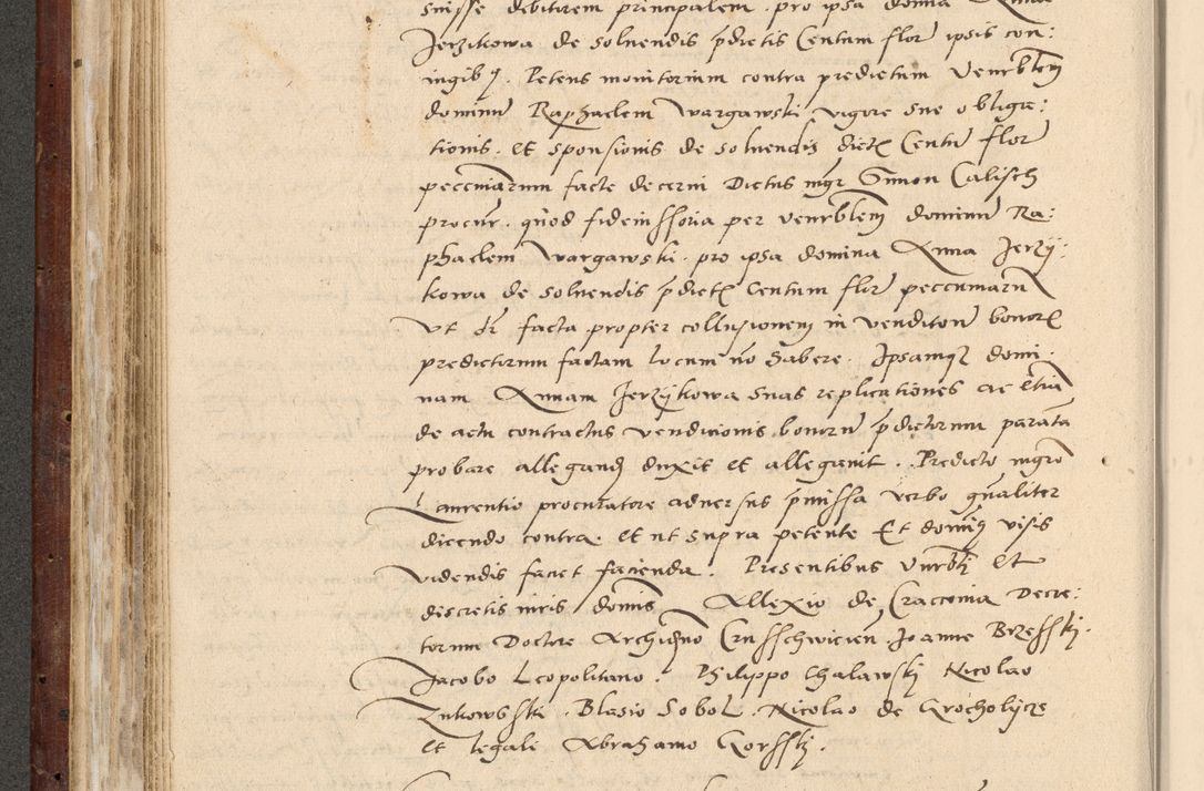 Zdjęcie nr 221 dla obiektu archiwalnego: Acta actorum causarum, sentenciarum et obligationum coram reverendo patre domino Paulo Crassowski Warscheviensi et Omnium Sanctorum preposito, canonico et officiali in spiritualibus generali Cracoviensi ad annum Domini millesimum quingentesimum quadragesimum primum, cuius indicio est quatuor decima, pontificatu (sic!) sanctissimi in Christo patris et domini nostri domini Pauli divina providencia pape tercii,, anno septimo, a die ac mense infrascriptis feliciter continuantur