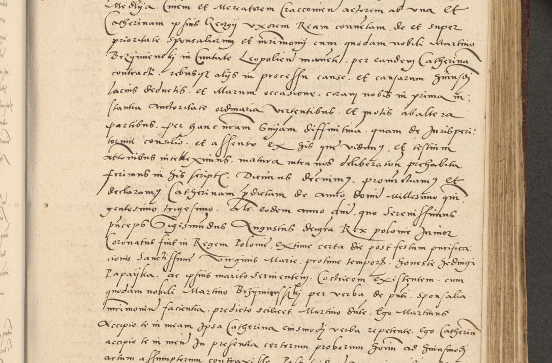 Zdjęcie nr 218 dla obiektu archiwalnego: Acta actorum causarum, sentenciarum et obligationum coram reverendo patre domino Paulo Crassowski Warscheviensi et Omnium Sanctorum preposito, canonico et officiali in spiritualibus generali Cracoviensi ad annum Domini millesimum quingentesimum quadragesimum primum, cuius indicio est quatuor decima, pontificatu (sic!) sanctissimi in Christo patris et domini nostri domini Pauli divina providencia pape tercii,, anno septimo, a die ac mense infrascriptis feliciter continuantur