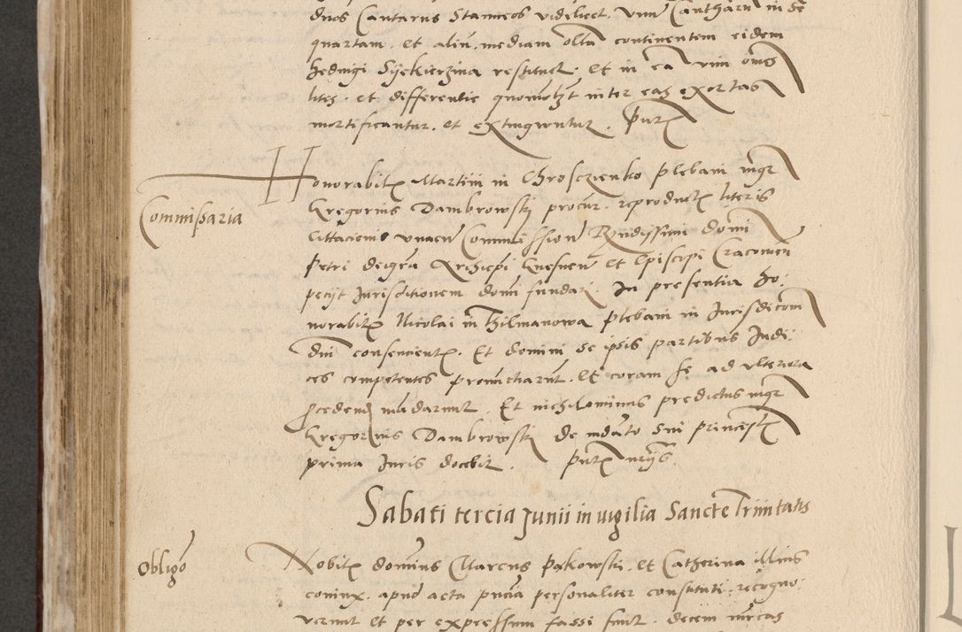 Zdjęcie nr 601 dla obiektu archiwalnego: Acta actorum causarum, sentenciarum et obligationum coram reverendo patre domino Paulo Crassowski Warscheviensi et Omnium Sanctorum preposito, canonico et officiali in spiritualibus generali Cracoviensi ad annum Domini millesimum quingentesimum quadragesimum primum, cuius indicio est quatuor decima, pontificatu (sic!) sanctissimi in Christo patris et domini nostri domini Pauli divina providencia pape tercii,, anno septimo, a die ac mense infrascriptis feliciter continuantur