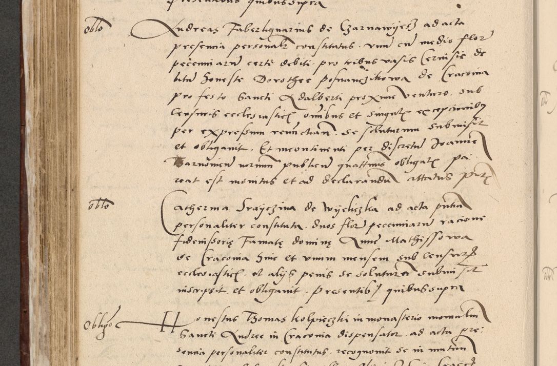Zdjęcie nr 451 dla obiektu archiwalnego: Acta actorum causarum, sentenciarum et obligationum coram reverendo patre domino Paulo Crassowski Warscheviensi et Omnium Sanctorum preposito, canonico et officiali in spiritualibus generali Cracoviensi ad annum Domini millesimum quingentesimum quadragesimum primum, cuius indicio est quatuor decima, pontificatu (sic!) sanctissimi in Christo patris et domini nostri domini Pauli divina providencia pape tercii,, anno septimo, a die ac mense infrascriptis feliciter continuantur