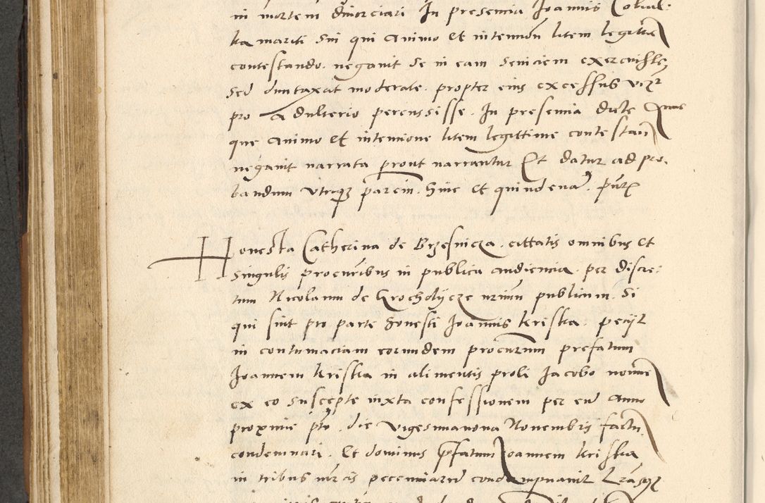 Zdjęcie nr 181 dla obiektu archiwalnego: [Acta actorum officialia coram Paula Crassowski]