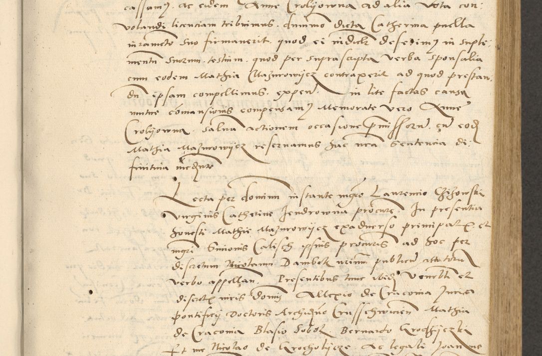 Zdjęcie nr 50 dla obiektu archiwalnego: [Acta actorum officialia coram Paula Crassowski]