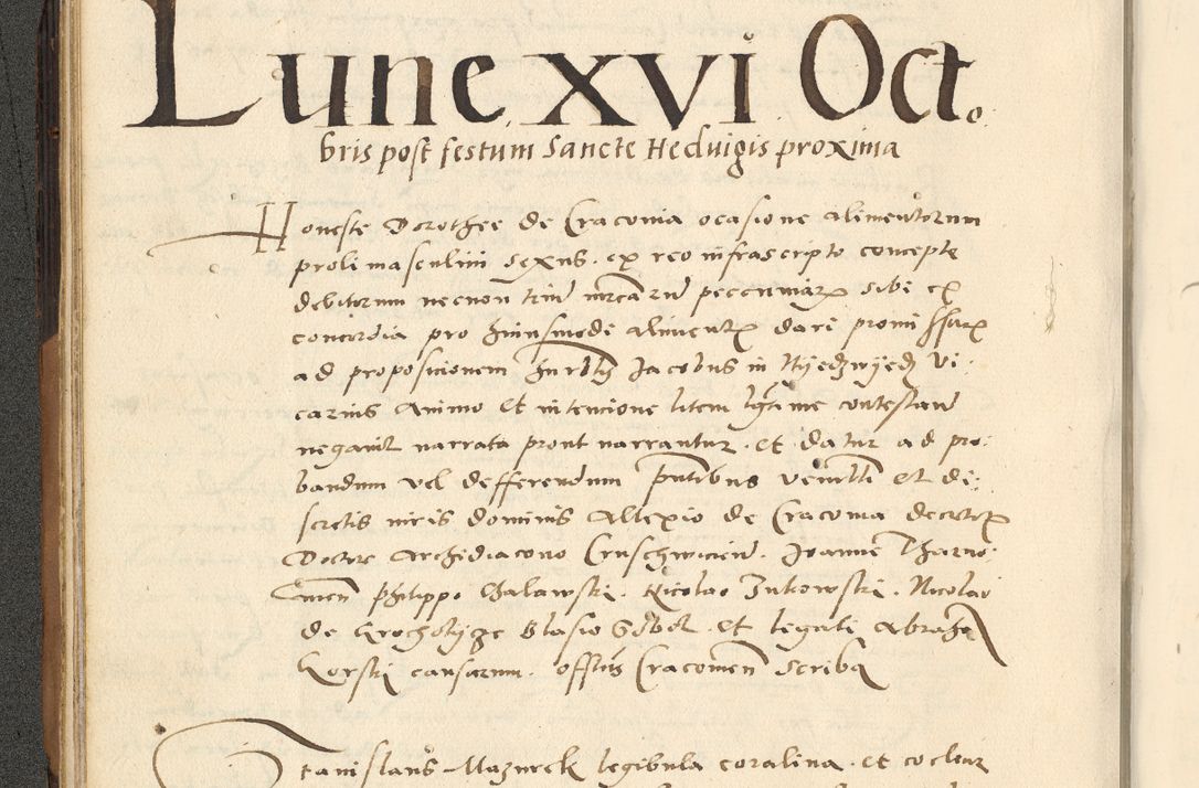 Zdjęcie nr 33 dla obiektu archiwalnego: [Acta actorum officialia coram Paula Crassowski]