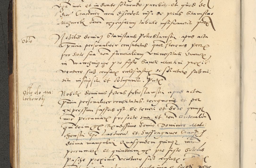 Zdjęcie nr 29 dla obiektu archiwalnego: [Acta actorum officialia coram Paula Crassowski]