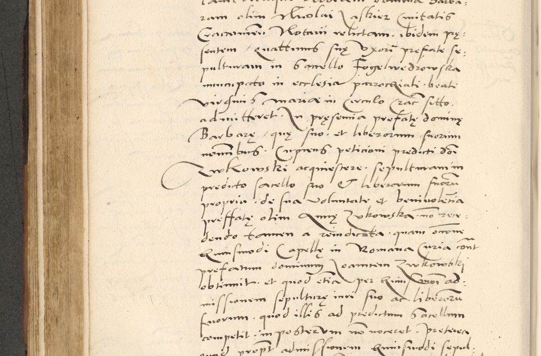 Zdjęcie nr 367 dla obiektu archiwalnego: [Acta actorum officialia coram Paula Crassowski]