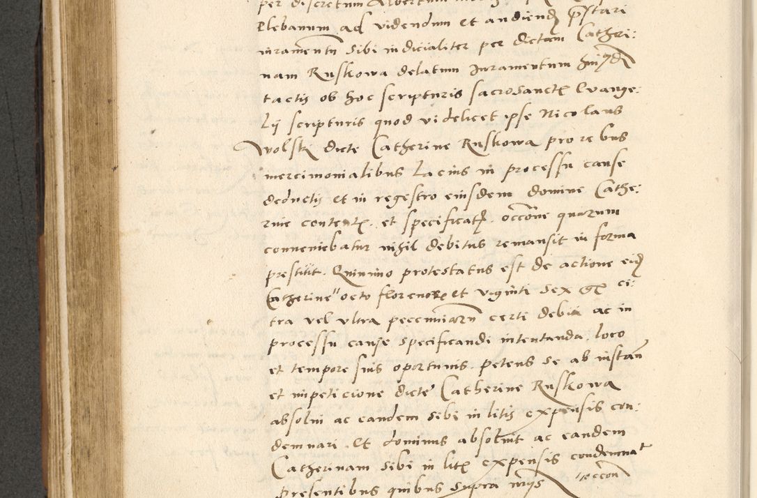 Zdjęcie nr 347 dla obiektu archiwalnego: [Acta actorum officialia coram Paula Crassowski]