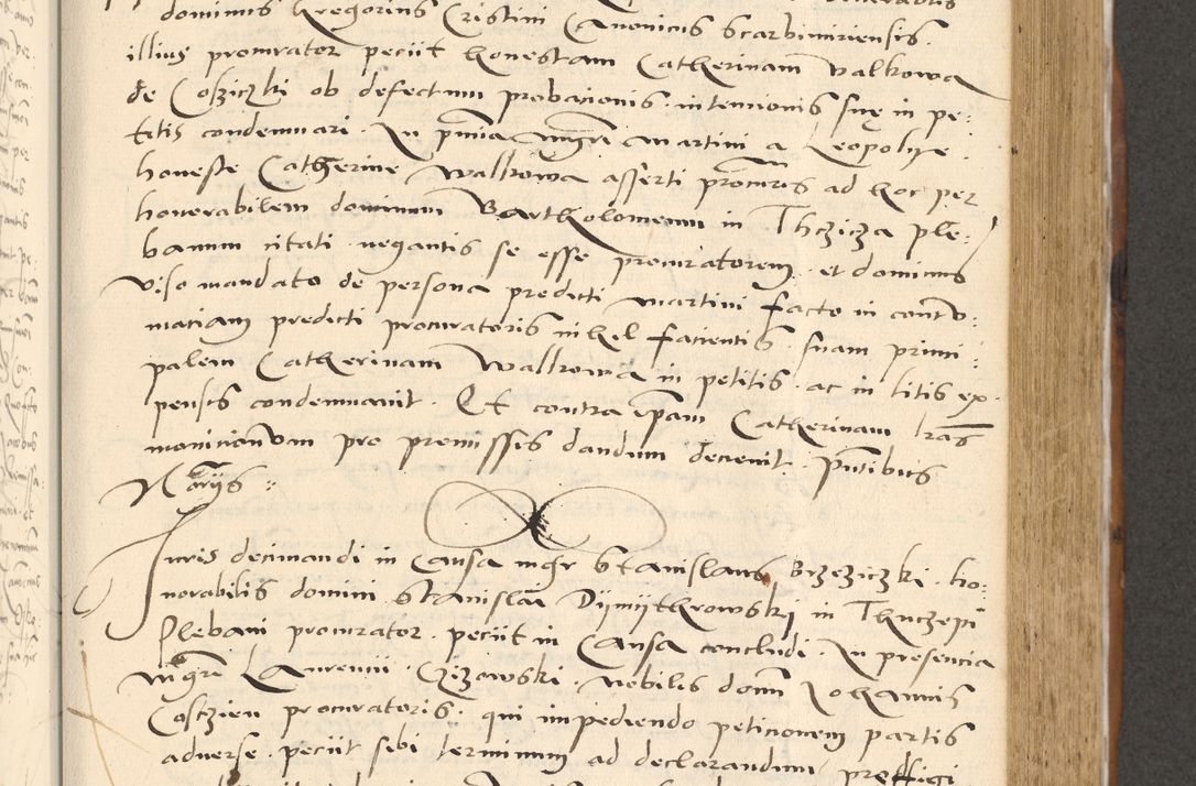 Zdjęcie nr 324 dla obiektu archiwalnego: [Acta actorum officialia coram Paula Crassowski]