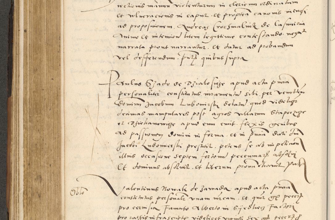 Zdjęcie nr 267 dla obiektu archiwalnego: [Acta actorum officialia coram Paula Crassowski]