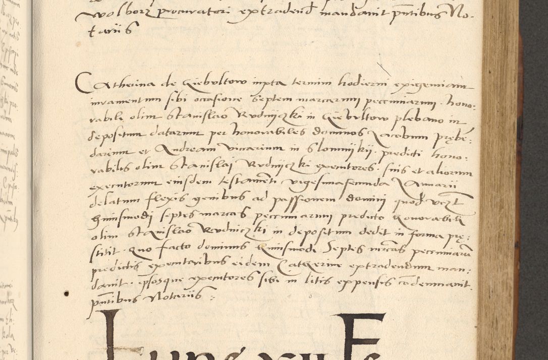 Zdjęcie nr 220 dla obiektu archiwalnego: [Acta actorum officialia coram Paula Crassowski]