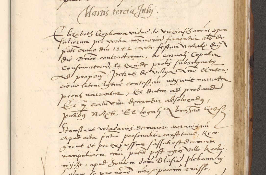 Zdjęcie nr 602 dla obiektu archiwalnego: [Acta actorum officialia coram Paula Crassowski]